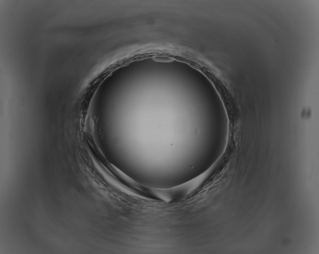 X0000091531496200708241700
