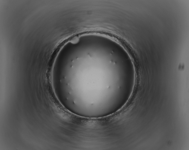 X0000091531497200708241700