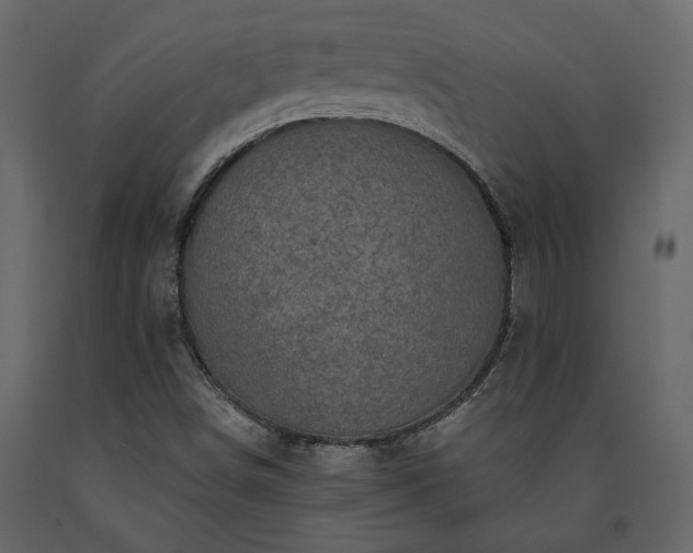 X0000091531498200708241700