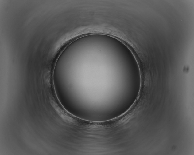 X0000091531499200708241700