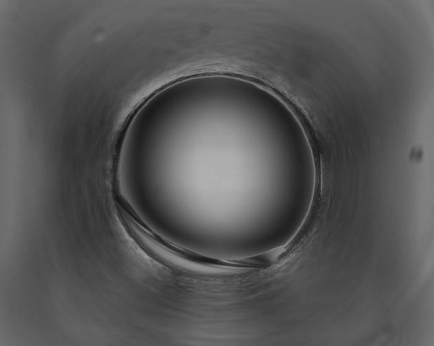 X0000091531500200708241700