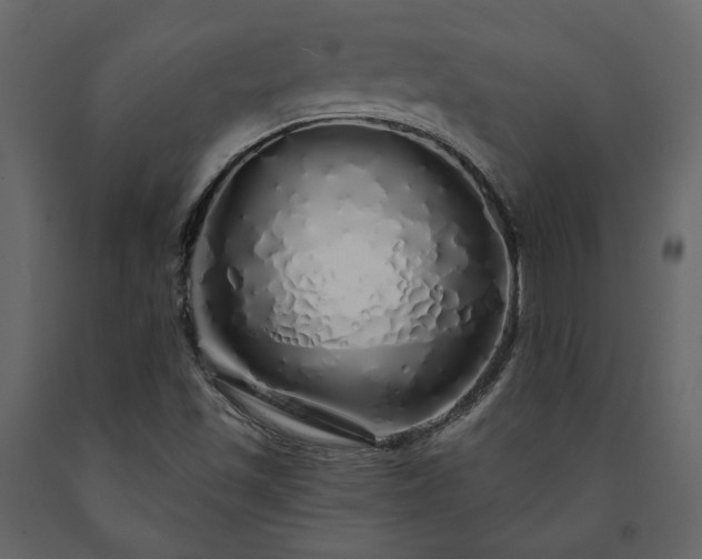 X0000091531501200708241700