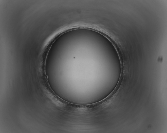 X0000091531502200708241700