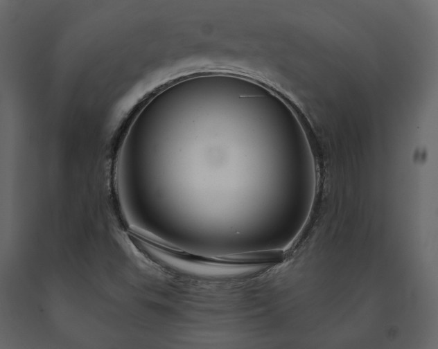 X0000091531503200708241700