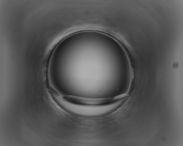 X0000091531504200708241700