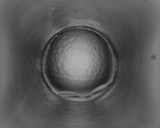 X0000091531505200708241700