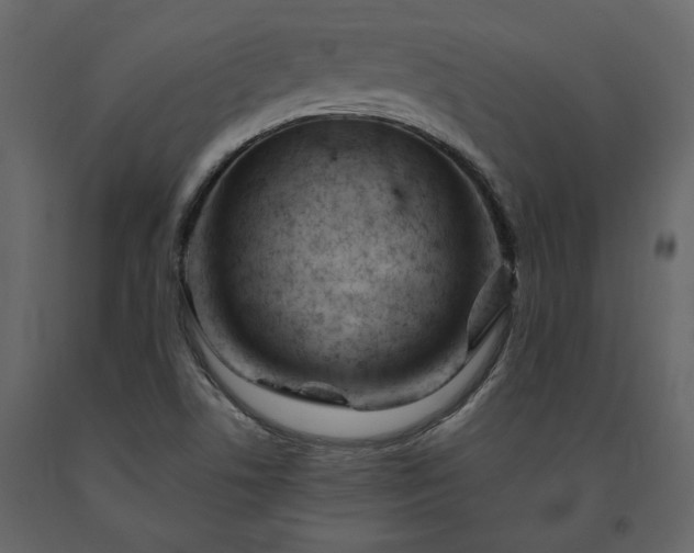 X0000091531506200708241700