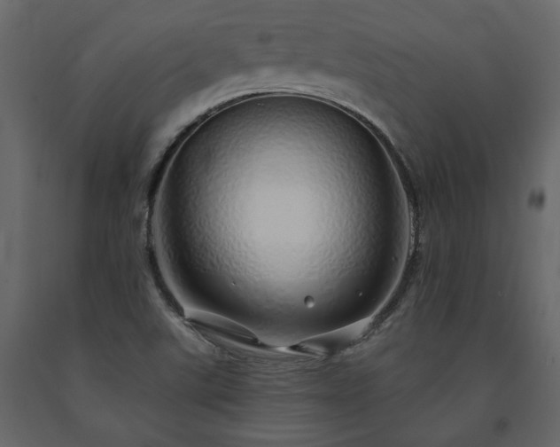 X0000091531507200708241700