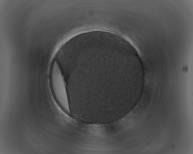 X0000091531508200708241700