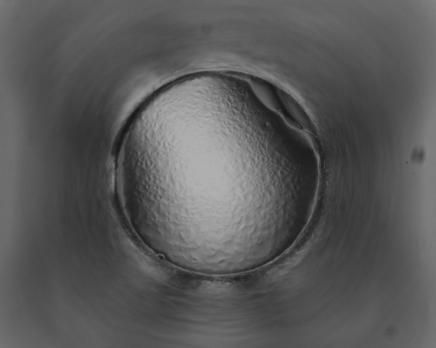 X0000091531509200708241700