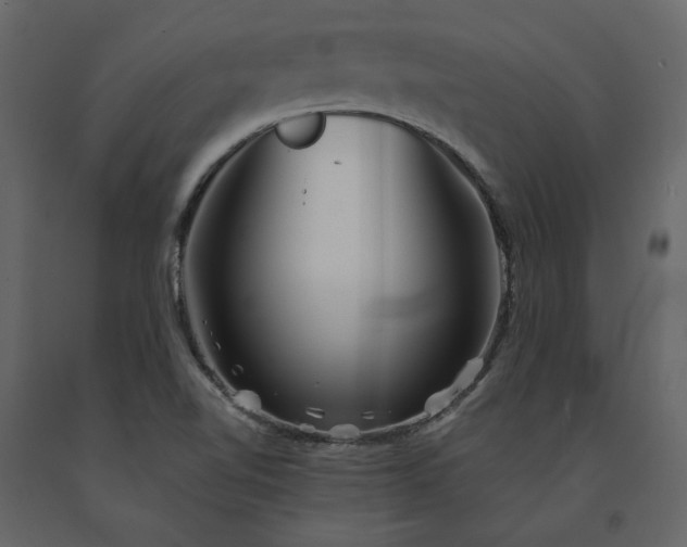 X0000091531510200708241700