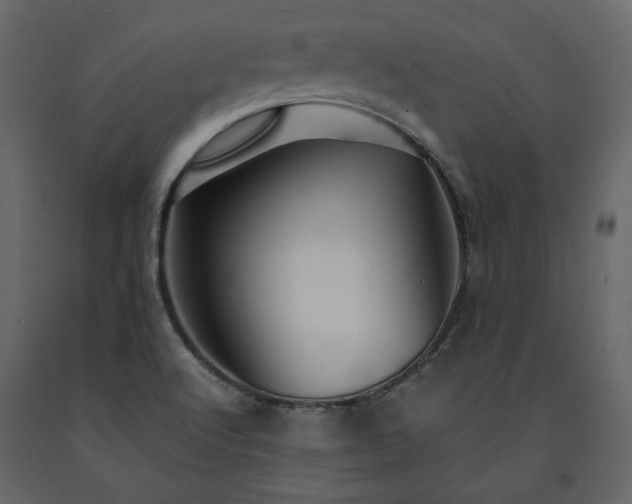 X0000091531512200708241700