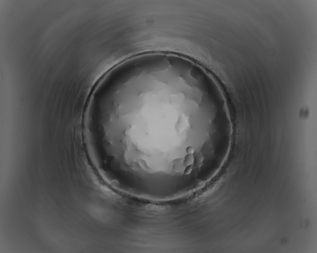 X0000091531513200708241700