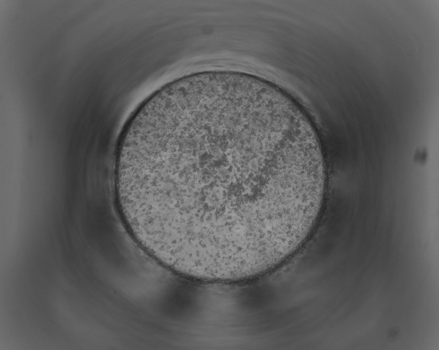 X0000091531514200708241700