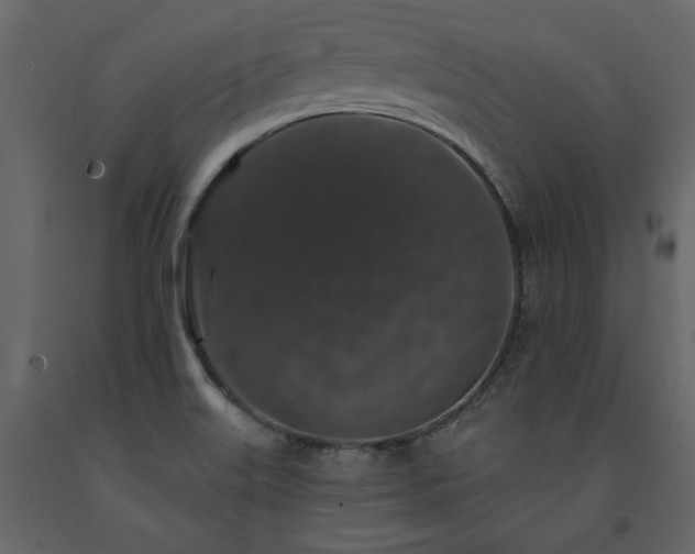 X0000091531515200708241700