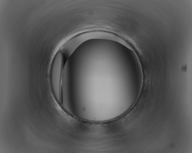 X0000091531516200708241700