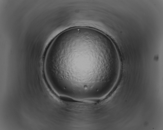X0000091531517200708241700