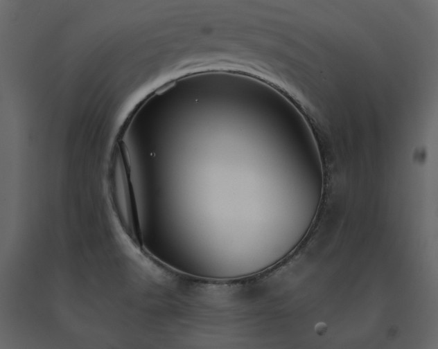 X0000091531518200708241700