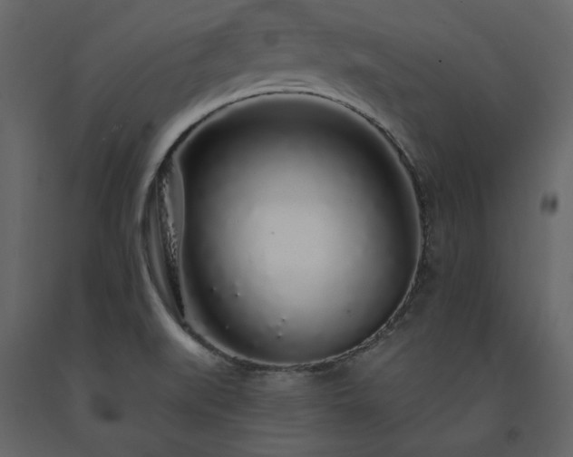 X0000091531519200708241700