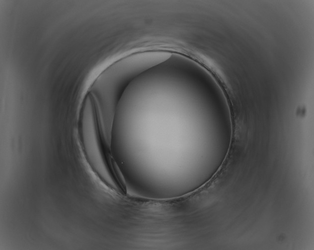X0000091531520200708241700