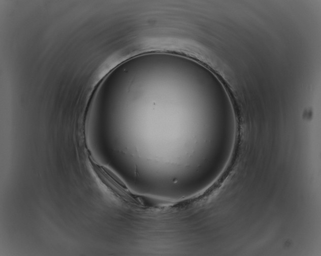 X0000091531521200708241700