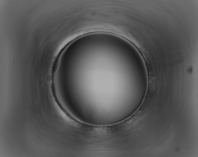 X0000091531523200708241700