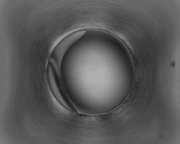 X0000091531524200708241700