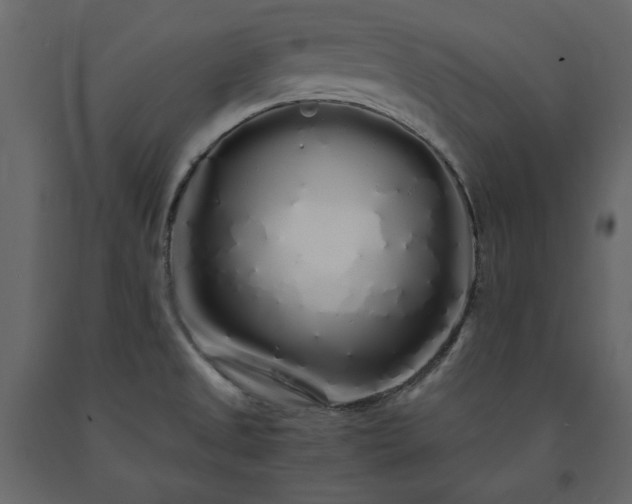X0000091531525200708241700