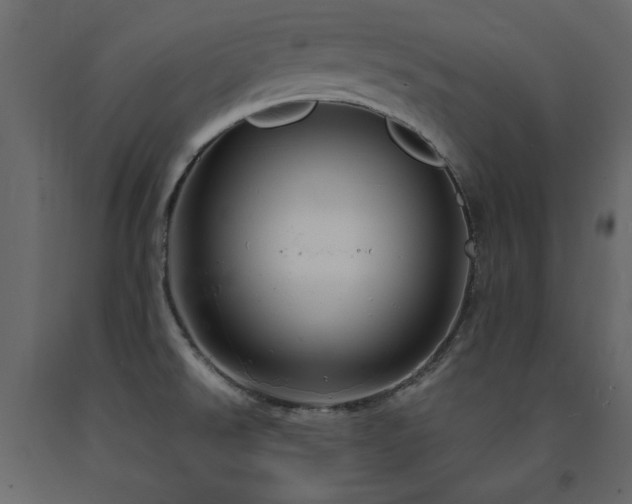 X0000091531526200708241700