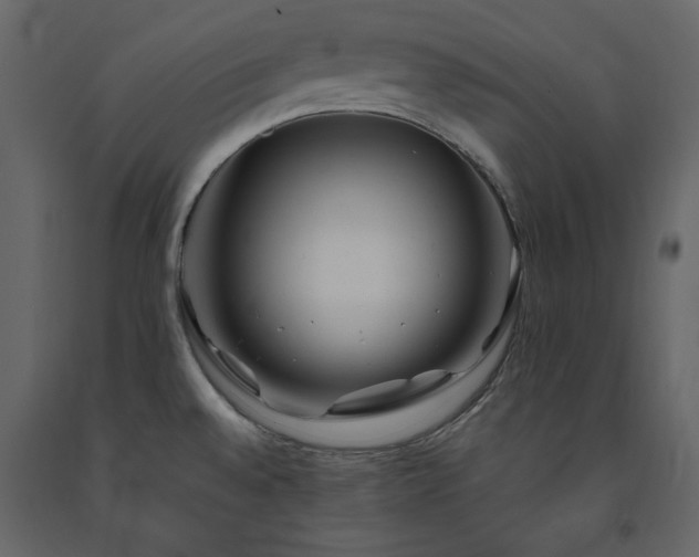 X0000091531528200708241700