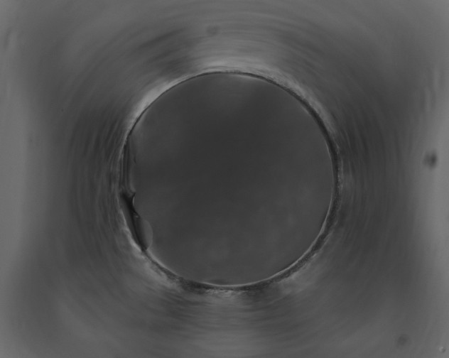 X0000091531529200708241700