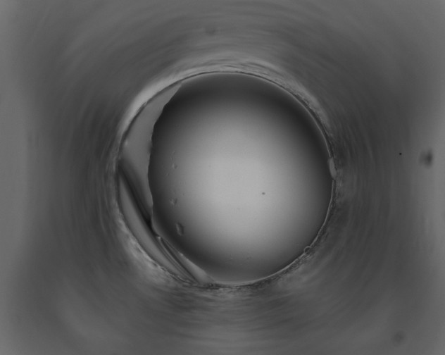 X0000091531530200708241700