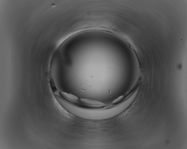 X0000091531532200708241700