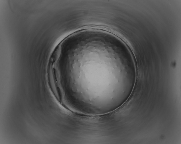 X0000091531533200708241700