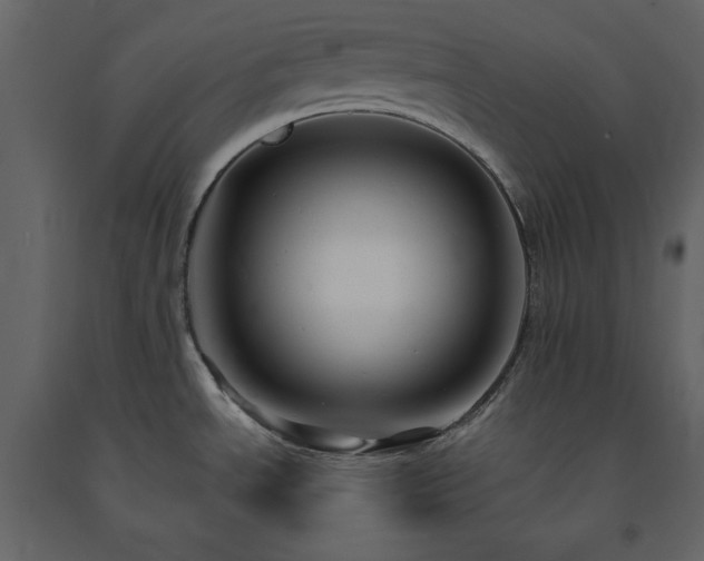 X0000091531534200708241700