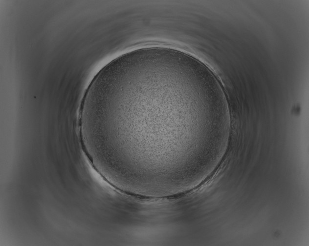 X0000091531535200708241700