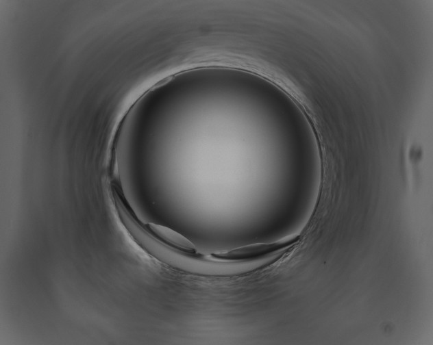 X0000091531536200708241700