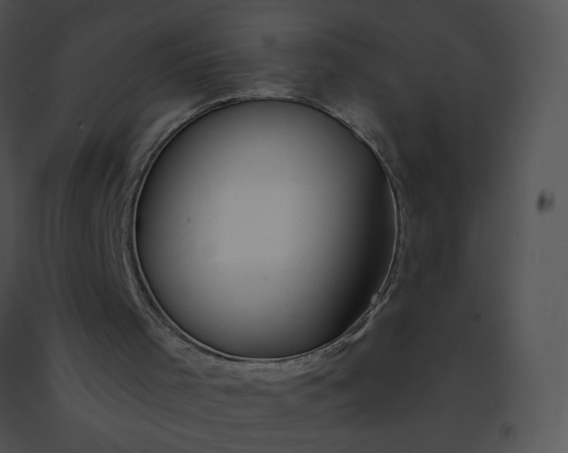 X0000091530001200708311320