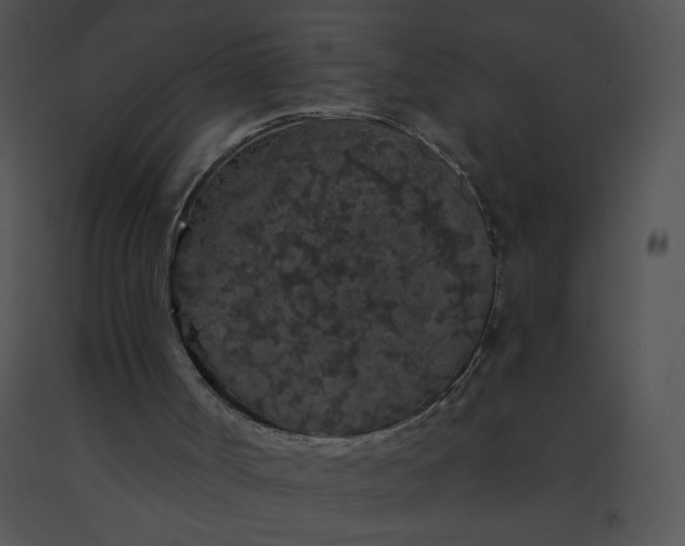 X0000091530002200708311320