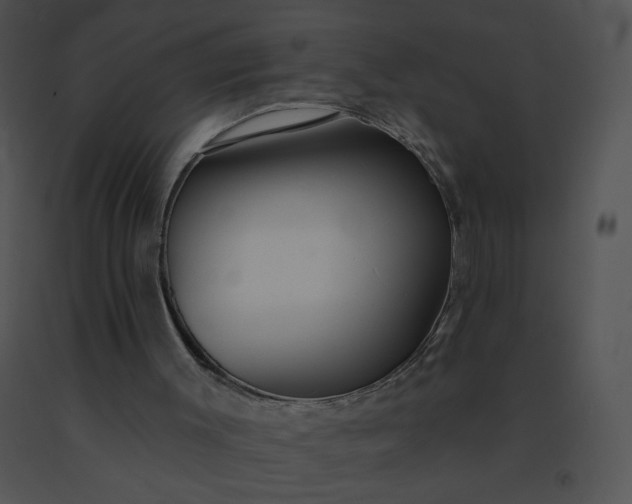 X0000091530003200708311320