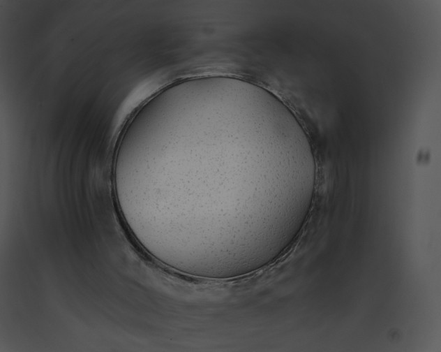 X0000091530004200708311320
