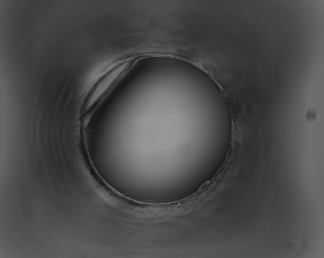 X0000091530005200708311320