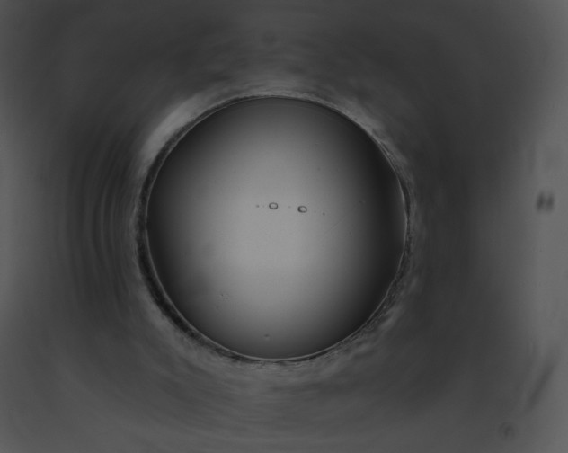 X0000091530007200708311320
