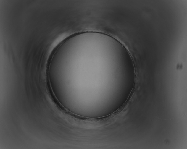X0000091530008200708311320