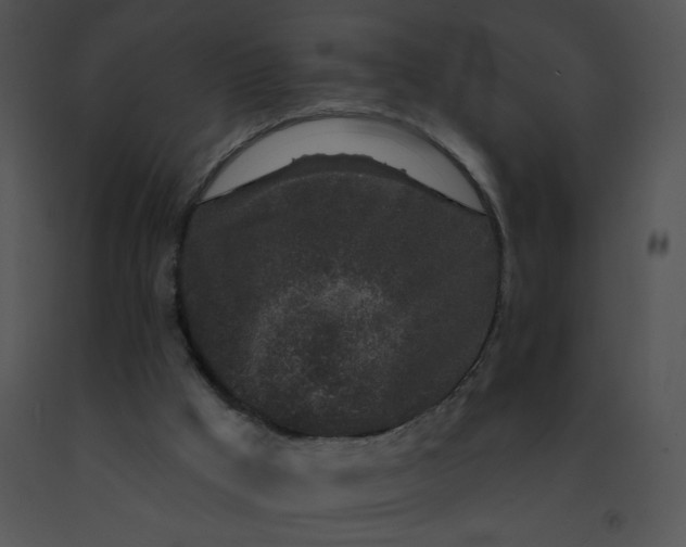 X0000091530009200708311320