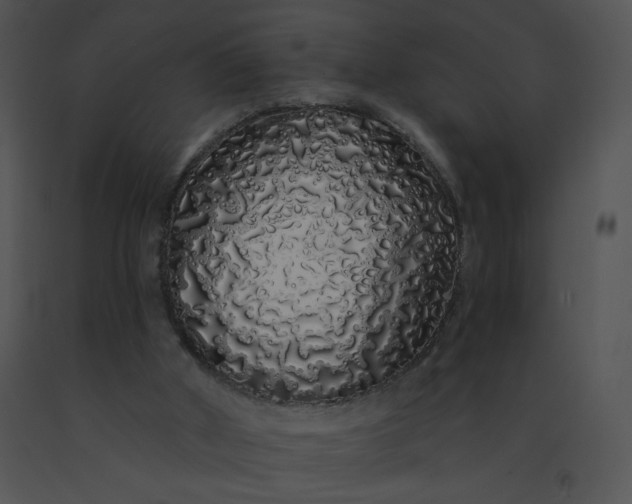 X0000091530010200708311320