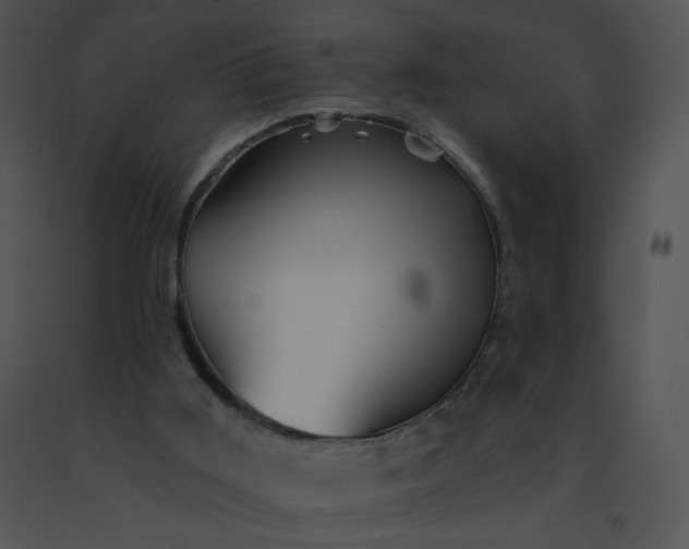 X0000091530011200708311320