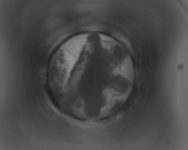 X0000091530012200708311320