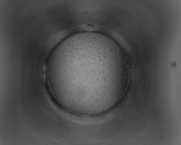 X0000091530014200708311320