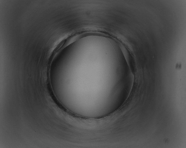 X0000091530015200708311320